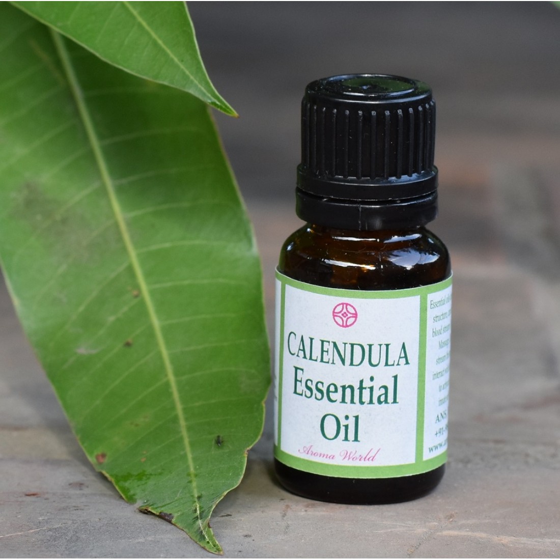 Calendula Essential Oil Of Indian Origin